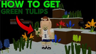 How to get Dark Green Tulips in Roblox Islands [upl. by Joashus975]