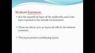 Stratum corneum [upl. by Majka194]