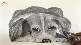 How to draw animal hair  indentation technique  pencil sketch of a cute beagle puppy  pet drawing [upl. by Shriver]