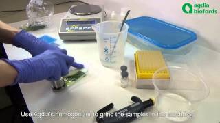 Plant Pathogen ELISA detection How to prepare your samples [upl. by Aipotu]