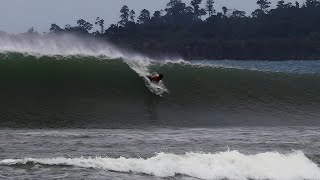 Paddling Into Perfection  DOG REEF As Good As It Gets [upl. by Kosey374]