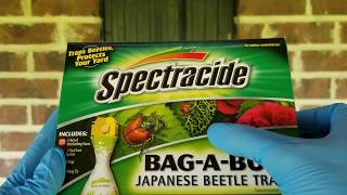 Spectracide Bag A Bug Japanese Beetle Trap  Part 1 [upl. by Ardnasac178]