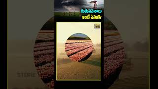 quotMonsoon Magic What Every Youth Should Knowquot  monsoon farmers indianmonsoon unknownfacts [upl. by Westley]