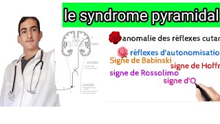 le syndrome pyramidal [upl. by Pazice]