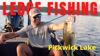 Mastering Ledge Fishing Expert Tips for Pickwick Lake [upl. by Alahc]