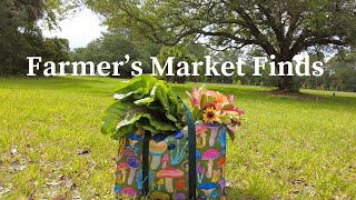 Farmers Market Finds [upl. by Orodoet691]