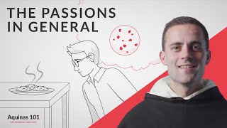 The Passions in General Aquinas 101 [upl. by Sellihca]