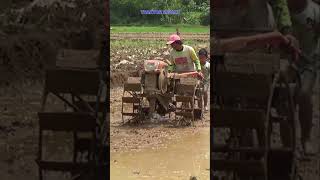 Traktor Sawah 354 [upl. by Lamberto]