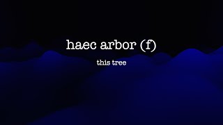 Mastering Latin Declension of HAEC ARBOR [upl. by Yrekaz]