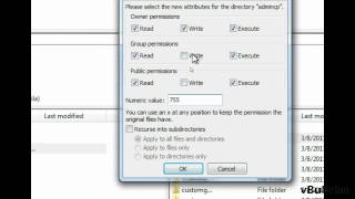 Set File Permissions Via FTP Filezilla [upl. by Acisey142]