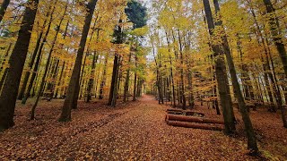 Singletrail  Moravský kras  Základna Jedovnice  Okruh 13 4k60 [upl. by Hollie370]