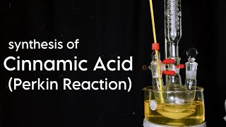 Cinnamic Acid  Organic Synthesis  Perkin Reaction [upl. by Ardnuas]