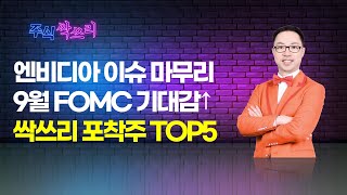 공명 정지우의 주식싹쓰리 엔비디아 이슈 마무리 9월 FOMC 기대감↑싹쓰리 포착주 TOP5  머니투데이방송 증시 증권 [upl. by Lleral935]