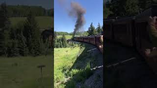 Scenic views and mimosas on the Cumbres amp Toltec narrowgauge railroad steam locomotive [upl. by Raffarty]