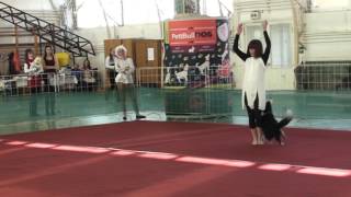 A BAJNOKOK Kríz Orsolya  és Josephine PettBull Dog Dancing Hungarian Open  2016 Hatvan [upl. by Hung]