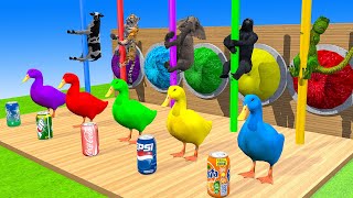 5 Giant Duck CartoonTigerCowDinosaurGorillaElephant Choose Right Drink And Wild Animals Games [upl. by Wight530]