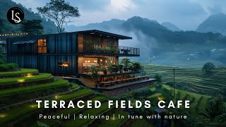 Rice Fields Reimagined Black Container Cafe Design for a Modern Escape [upl. by Hicks28]