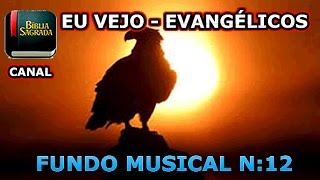 fundo musical para pregações 12 renovo [upl. by Anasiul]