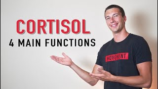 What does Cortisol Do  4 Functions of Cortisol Hormone [upl. by Justus]