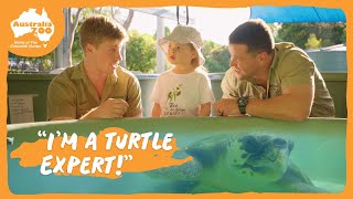 Grace tests her turtle feeding skills  Australia Zoo Life [upl. by Eladnar]