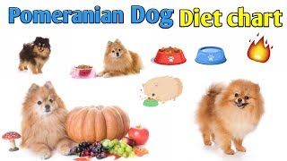 Pomeranian dog diet chart  In Hindi  Pomeranian dog diet plan [upl. by Iralam]