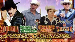 Beto Quintanilla Chalino Sanchez Sergio Vega Valentin Elizalde El Coyote 🌵Corridos Mix 2024 [upl. by Niels]