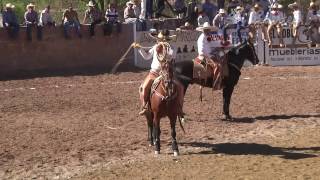 Charreada 3 Potrillos en Tlaltenango Zacatecas [upl. by Uehttam]