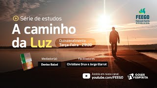 29 A Caminho da Luz – cap XXV – O Evangelho e o Futuro  Christiane Drux e Jorge Elarrat [upl. by Nnylahs]