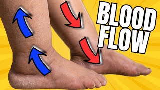 How To Improve Leg Circulation Up To 74 Complete Details [upl. by Hodge]