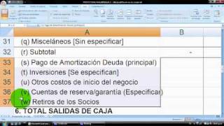 Cómo hacer un Presupuesto  Flujo de Caja cash flow en Excel  vídeo 2 planilla gratis [upl. by Esinel]