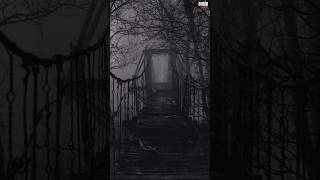 Bridge Wraith horrorstories scarystories haunted creepy ghost stories tales paranormal kids [upl. by Lekym846]