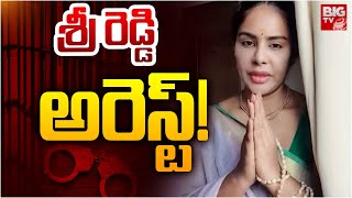 శ్రీ రెడ్డి అరెస్ట్  Case Filed Against Srireddy  Deputy CM Pawankalyan  Sireddy Arrest  BIG TV [upl. by Nerb595]