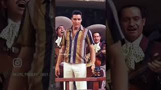 Elvis Presley Marguerita 1963 elvispresley elvispresleyfan tennessee elvispresleyreaction [upl. by Little]