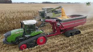 Corn Harvest 2023 Video from Darke County Ohio  Claas Lexion 8600 Combine [upl. by Ortrude363]