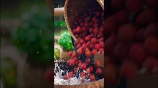 Have you heard about lychee wine makingwine wine ytshorts [upl. by Sorensen]