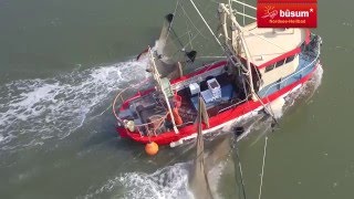 NordseeHeilbad Büsum Krabben Kutter Kapitäne [upl. by Edythe696]