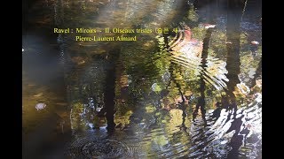 Ravel  Miroirs  II Oiseaux tristes 슬픈 새 [upl. by Salamone]