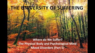 Mood Disorders Part 5 [upl. by Aibat]