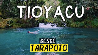 Tioyacu  COMO LLEGAR desde Tarapoto sin tours 🏞️🏊‍♂️🏝️ Nueva Cajamarca Rioja Turismo Peru [upl. by Ondine]