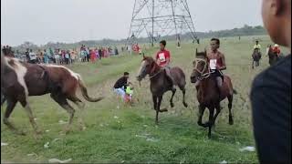 horse racing accident 😳😮😮 [upl. by Erie]