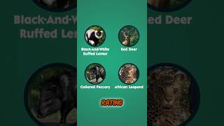 RATING ANNIVERSARY ANIMALS IN 15 SECONDS shorts planetzoo anniversary [upl. by Demetrius]