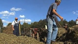 Old Fashioned Peanut Harvesting in South Georgia [upl. by Alejandrina]