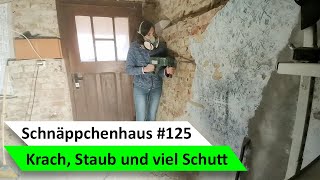 Kernsanierung rockt Putz abklopfen amp Vorbereitungen Pflaster 🏡 Bauvlog 125 [upl. by Housen240]