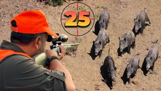 25 Perfect Shots in 14 Minutes  BEST Moments of WILD BOAR Hunts 🐗 [upl. by Ruscher463]