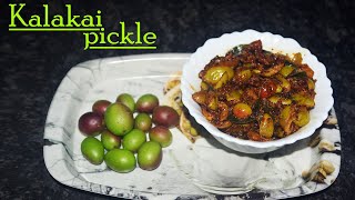 Kalakai Pickle in tamil  சுவையான கலாக்காய் ஊறுகாய் [upl. by Nalrah]