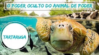 Significado da Tartaruga  O Poder Oculto do Animal de Poder 2ª Temporada 7 [upl. by Francoise]