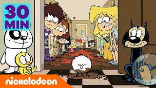 Loud House  Casagrandes  ¡30 min de los momentos de mascotas más tiernos  Nickelodeon en Español [upl. by Daffodil953]