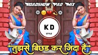 Tujhse Bichhad Kar Zinda Hain😕तुझसे बिछड कर जिंदा है💔Roadshow Pad Mix Hindi Song💫DJ KD Style Kishor💃 [upl. by Daniel]