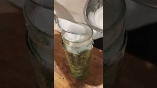 How did my mint syrup turn out [upl. by Dhaf]