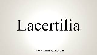 How To Pronounce Lacertilia [upl. by Hirz]